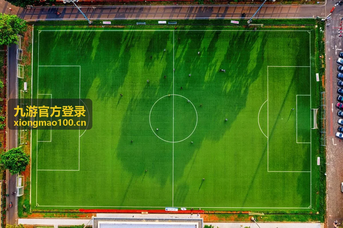 九游官方登录换绑手机号验证环节封面图